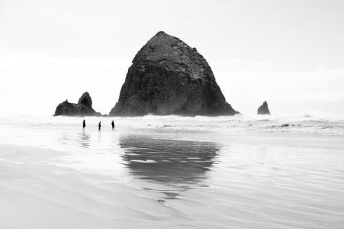 Mirror The Coast - W/Mount
