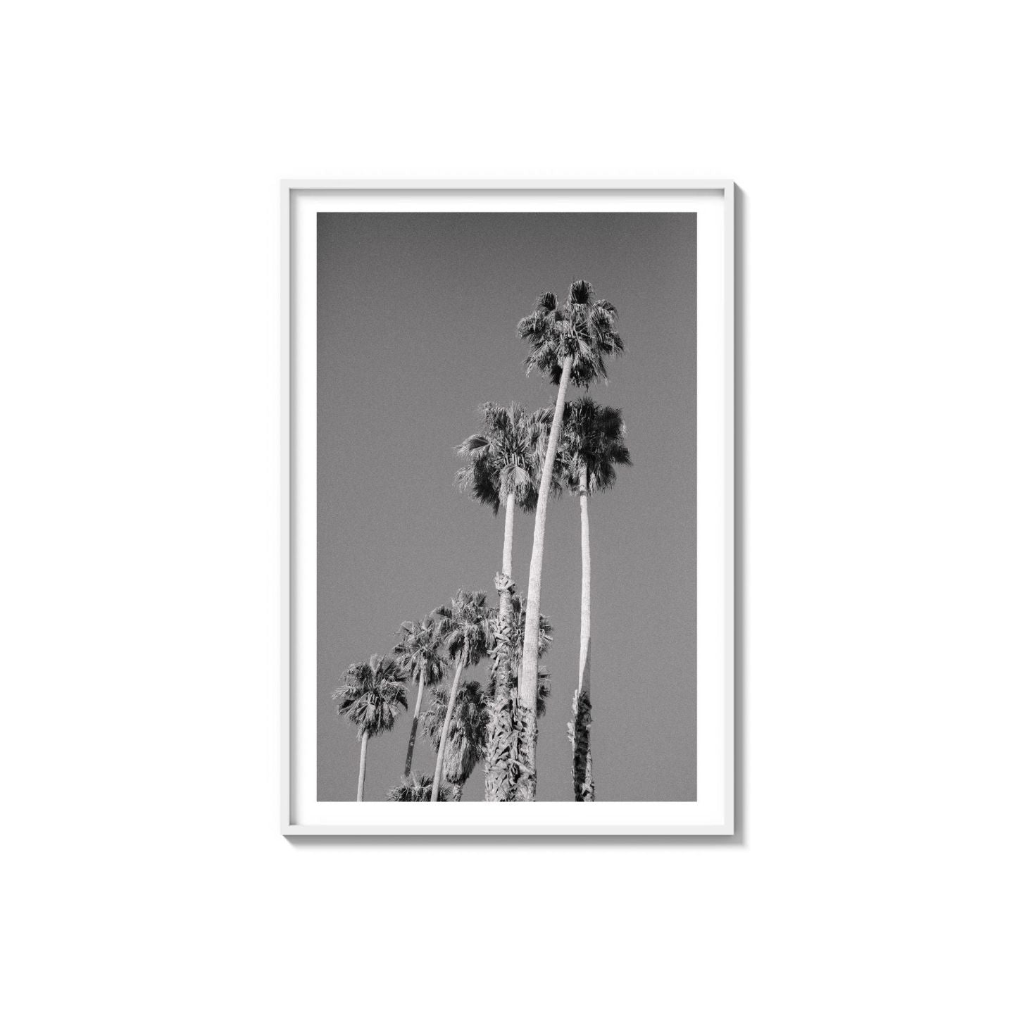 Cali Drives