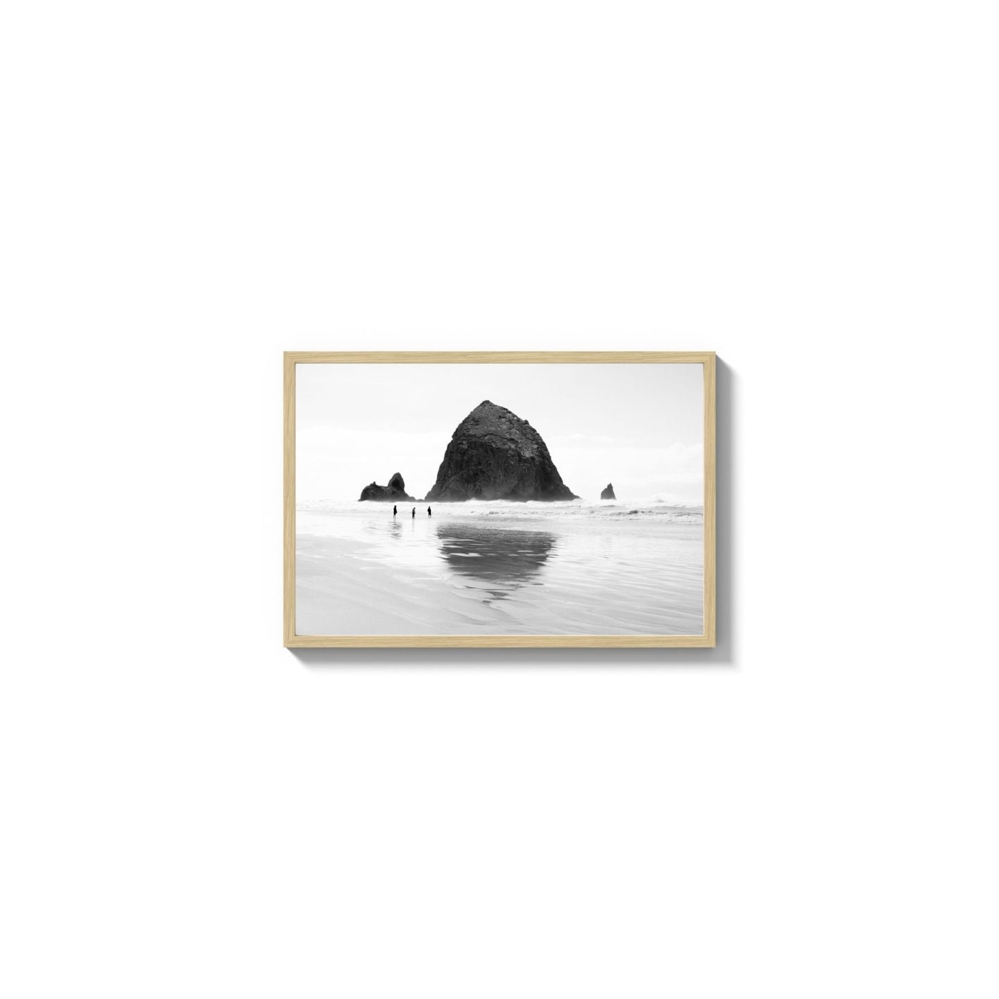 Mirror The Coast