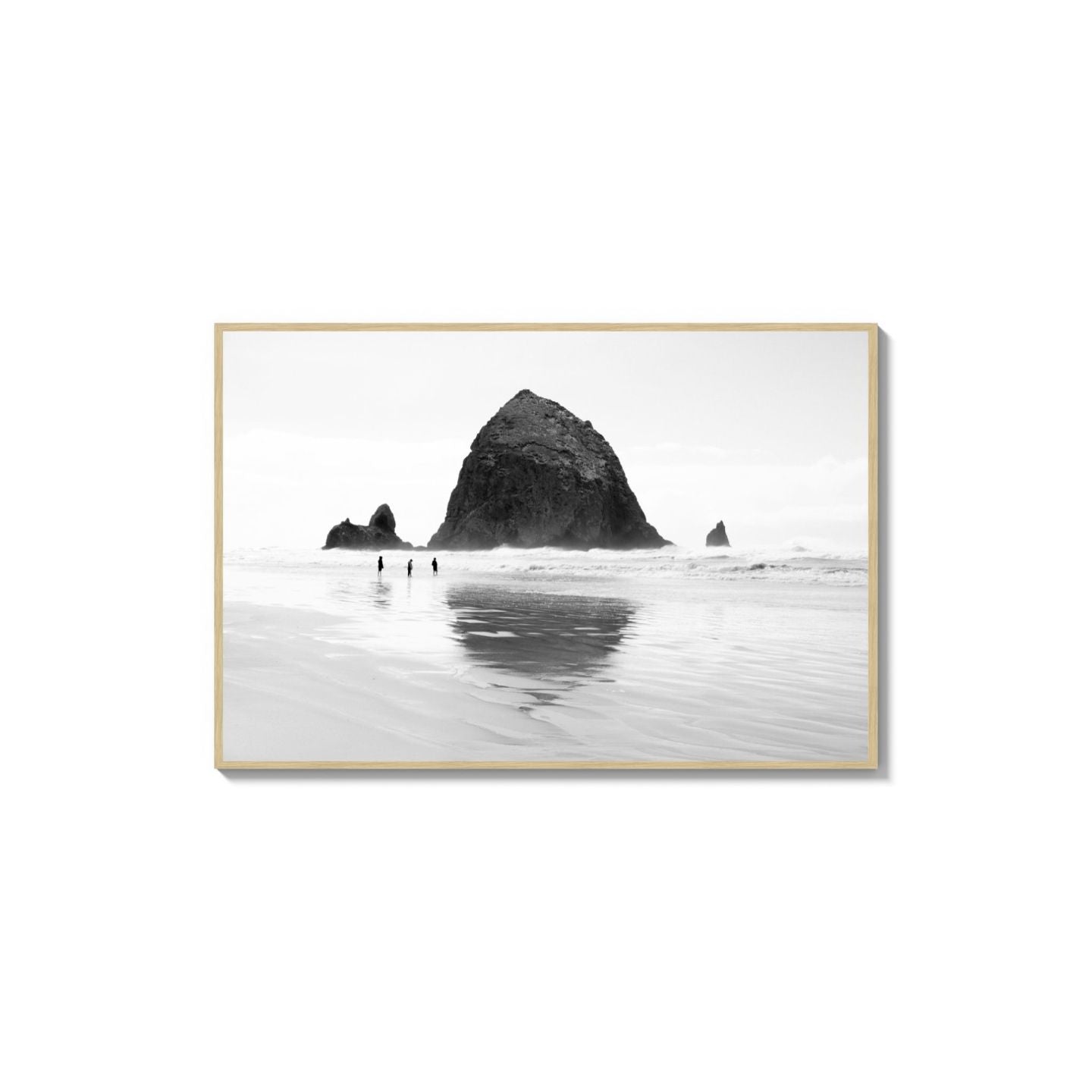Mirror The Coast