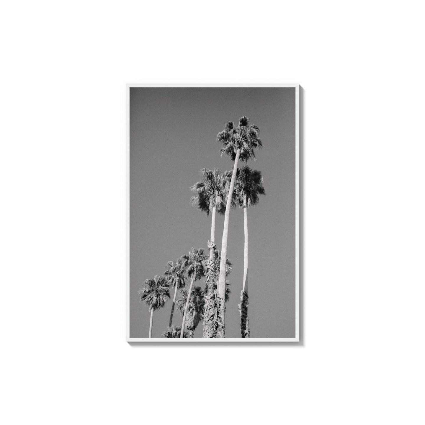 Cali Drives