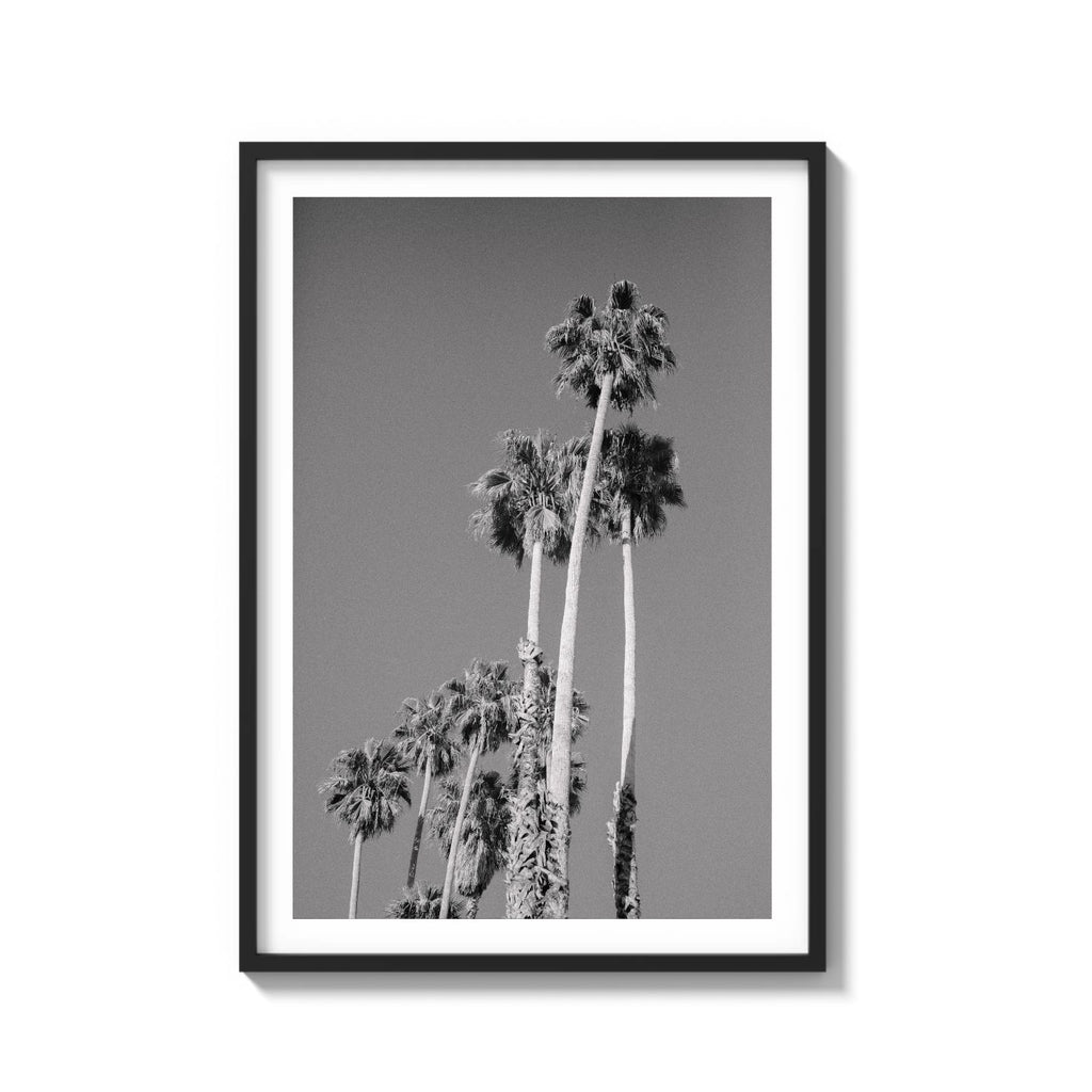 CALI DRIVES