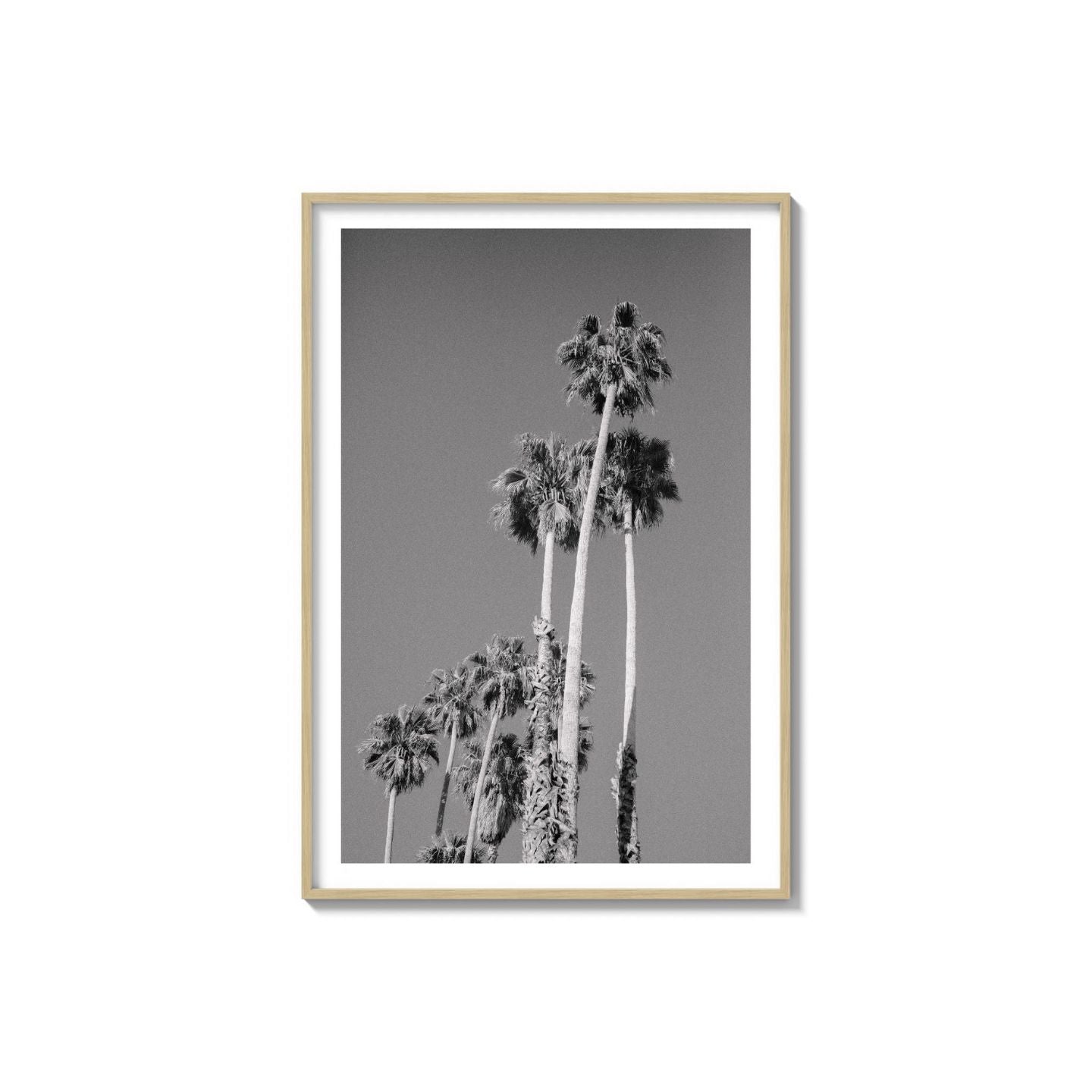 Cali Drives