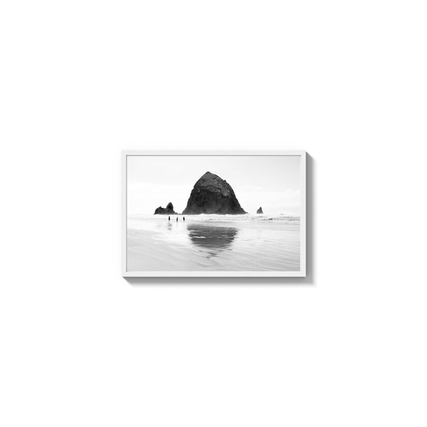 Mirror The Coast