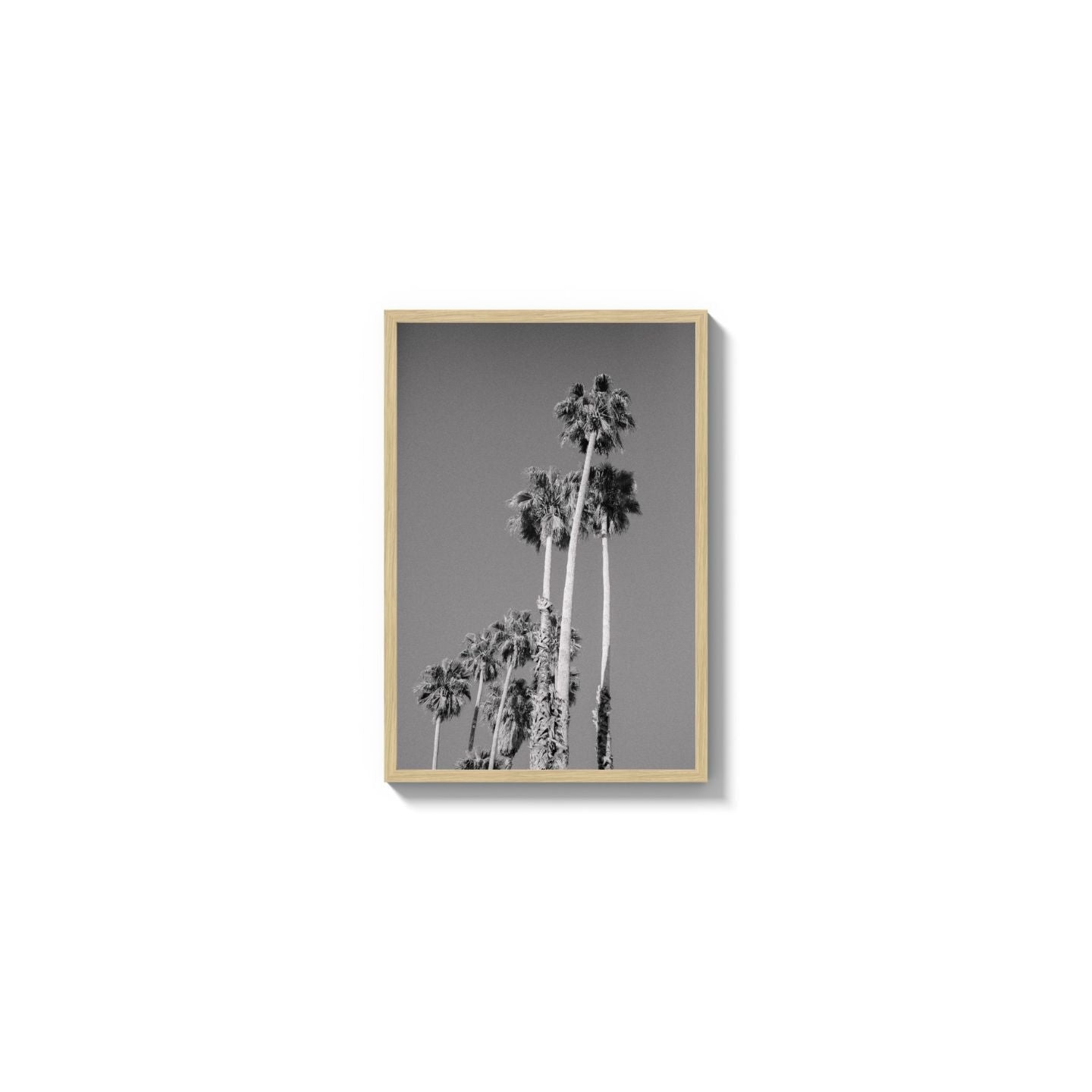 Cali Drives