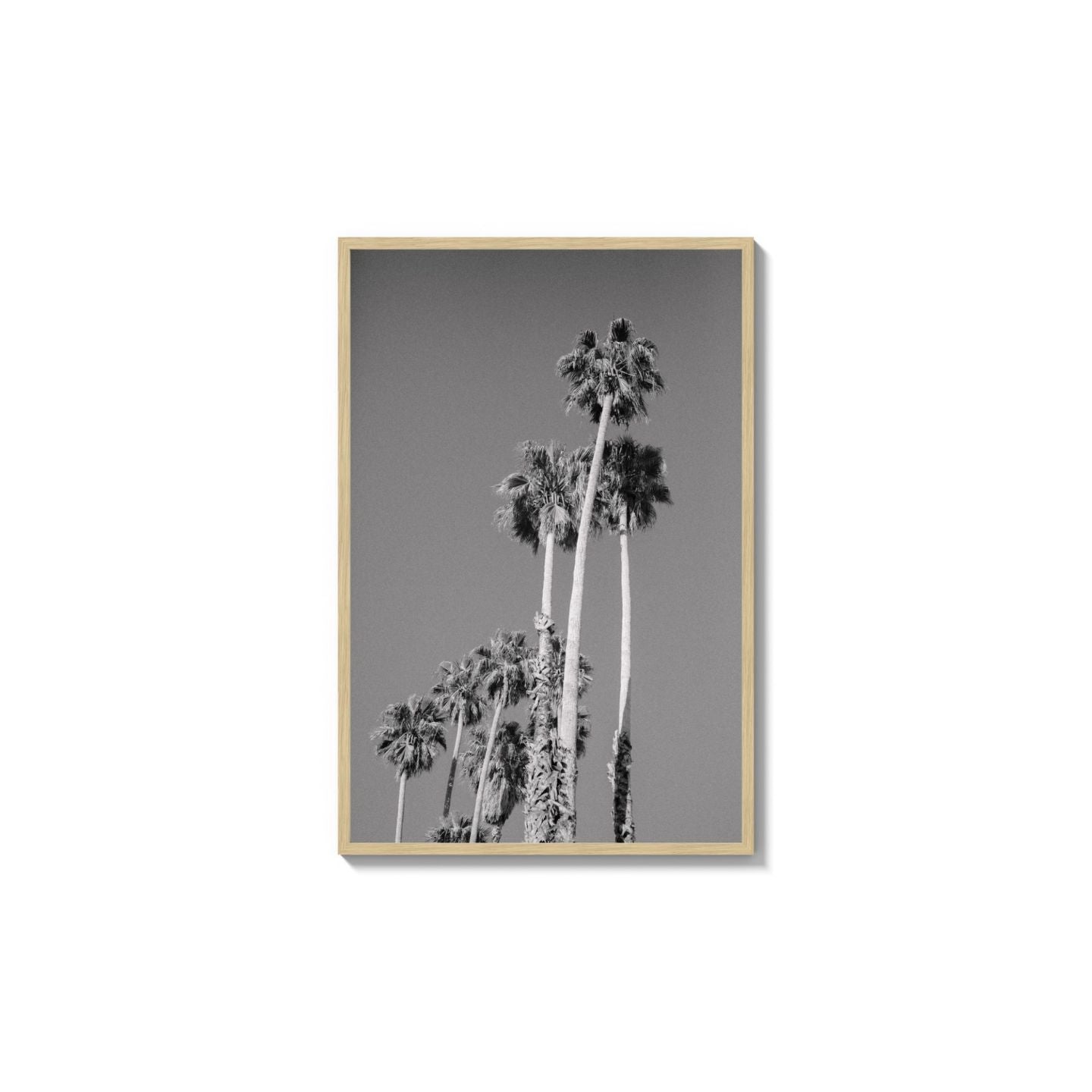 Cali Drives