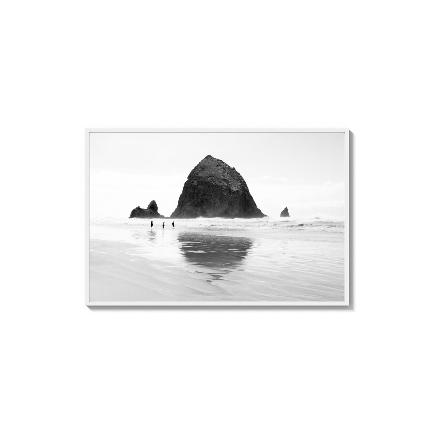 Mirror The Coast