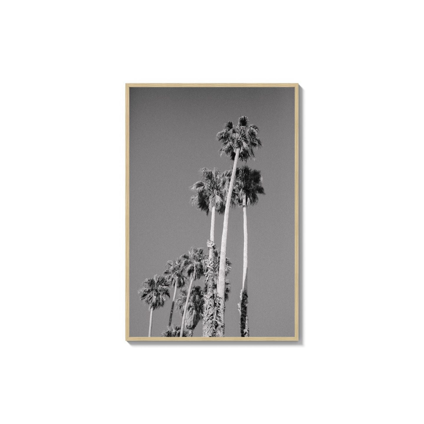 Cali Drives