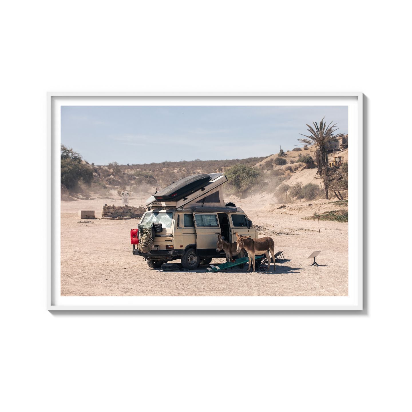 Settled Into The Dust