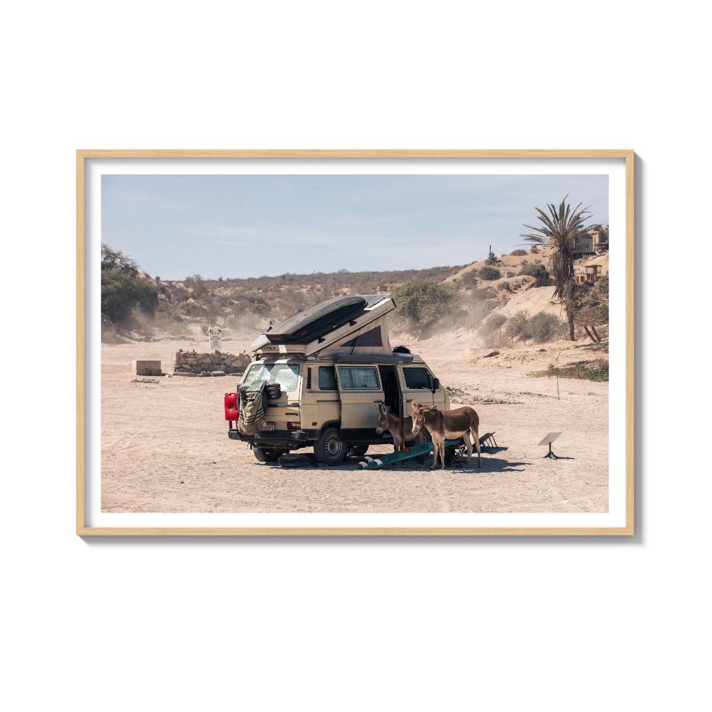 Settled Into The Dust