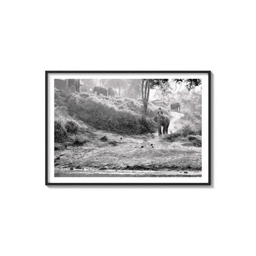 Elephant Rider — Chiang Mai, Thailand. Dust rises in the morning heat as an elephant steps down toward the river, a rider balanced on its back. Mounted fine art print by Lost Frame.