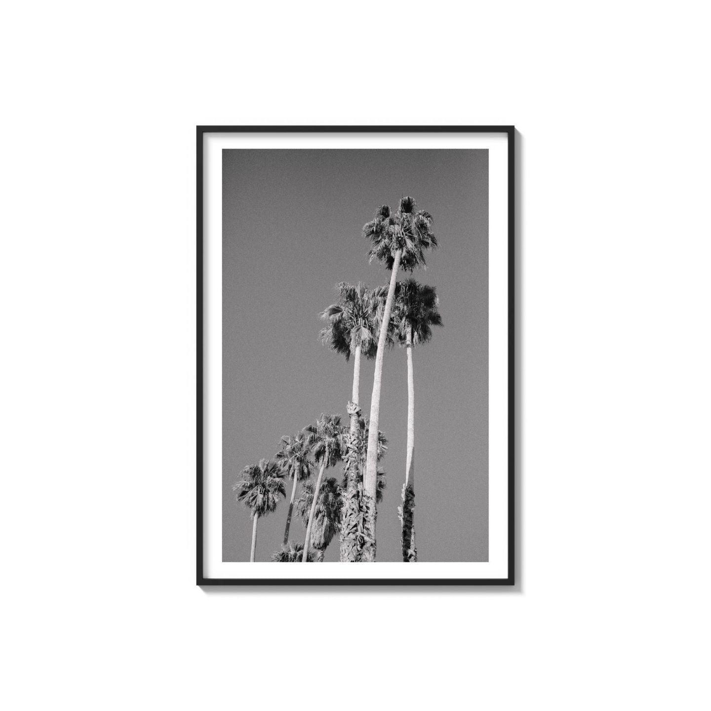 Cali Drives