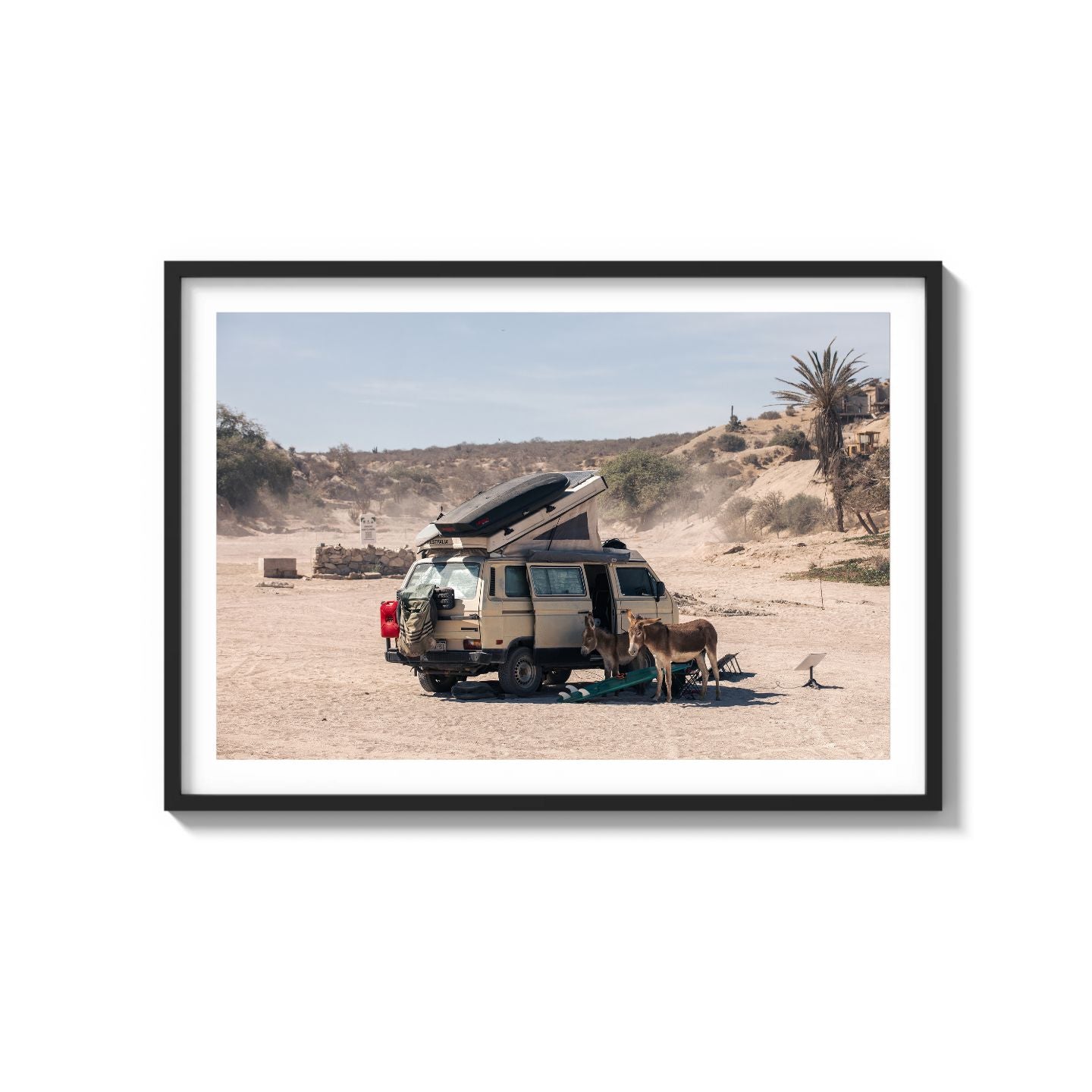 Settled Into The Dust