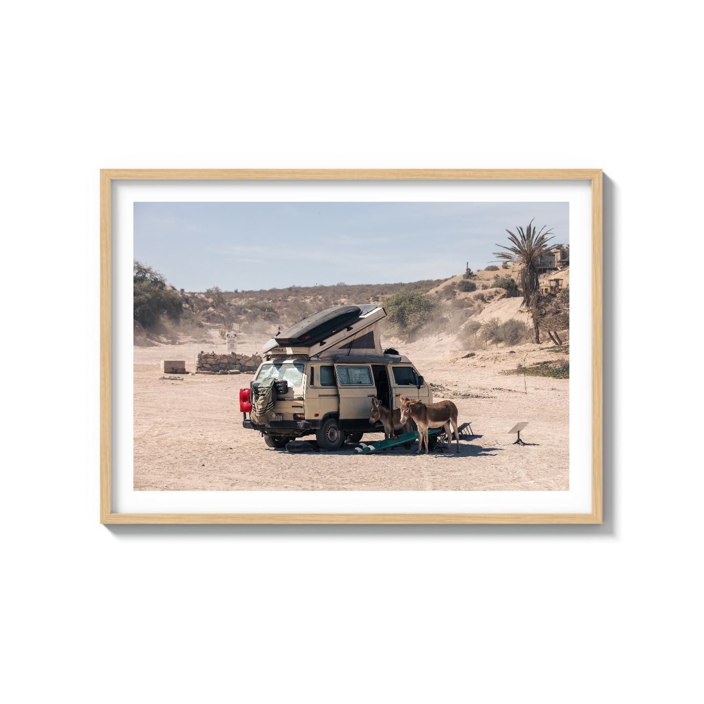 Settled Into The Dust