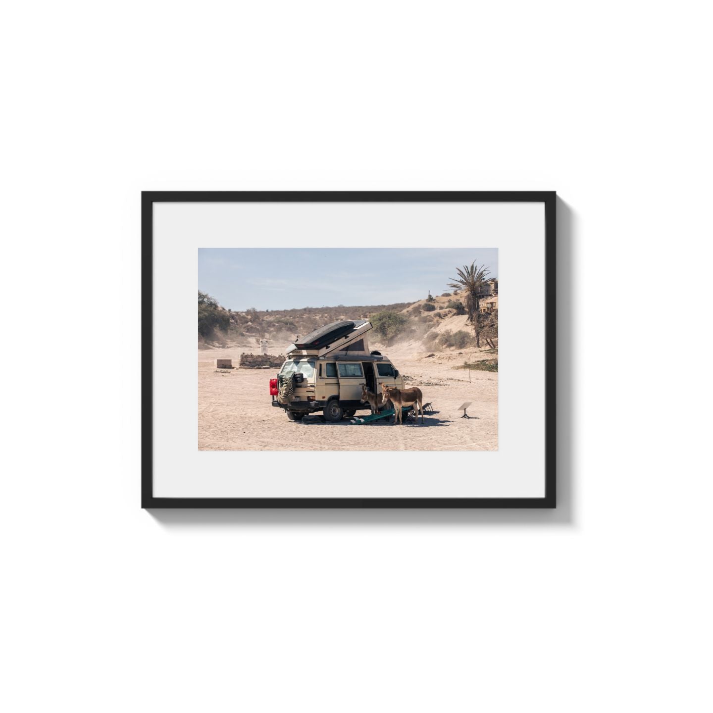 Settled Into The Dust