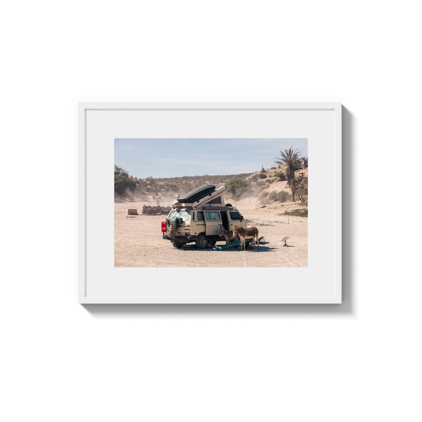 Settled Into The Dust