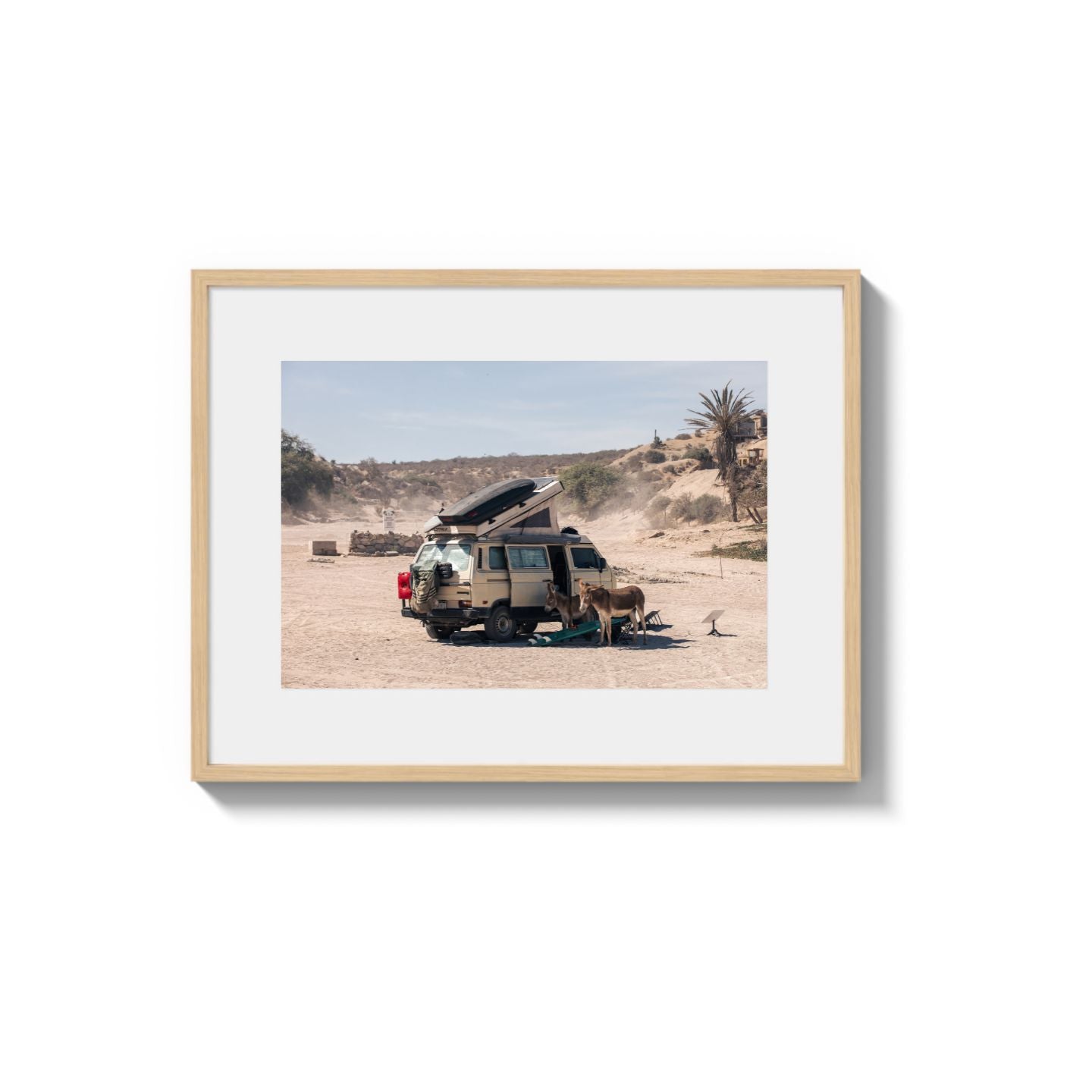 Settled Into The Dust