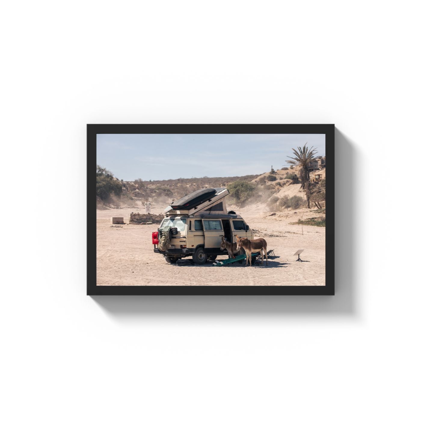 Settled Into The Dust