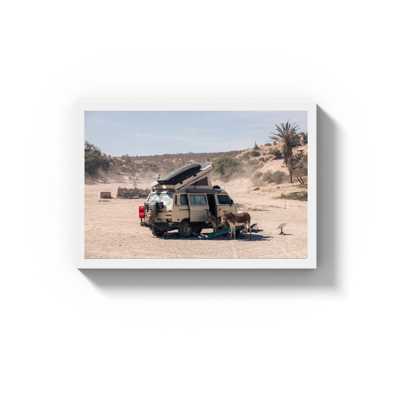 Settled Into The Dust