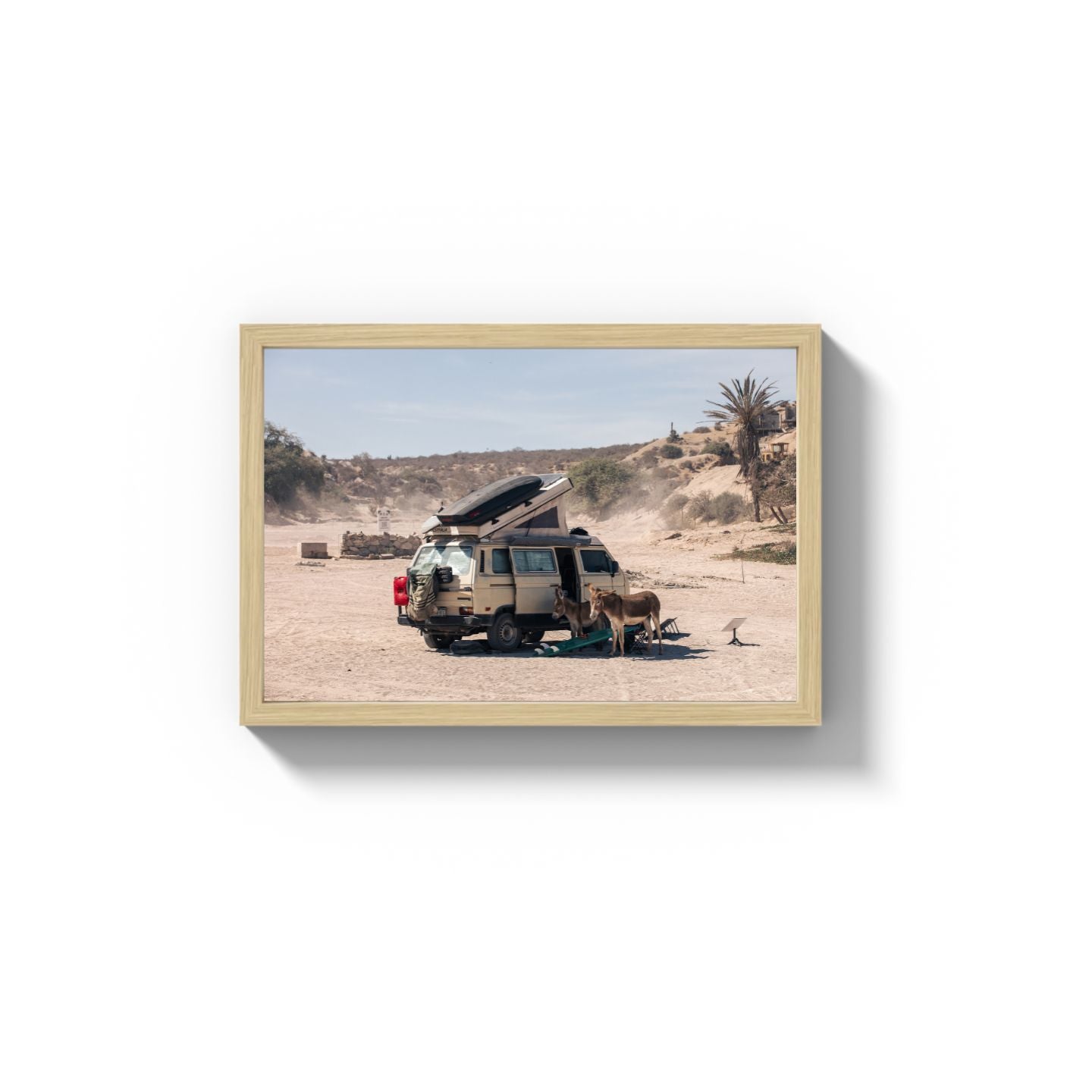 Settled Into The Dust