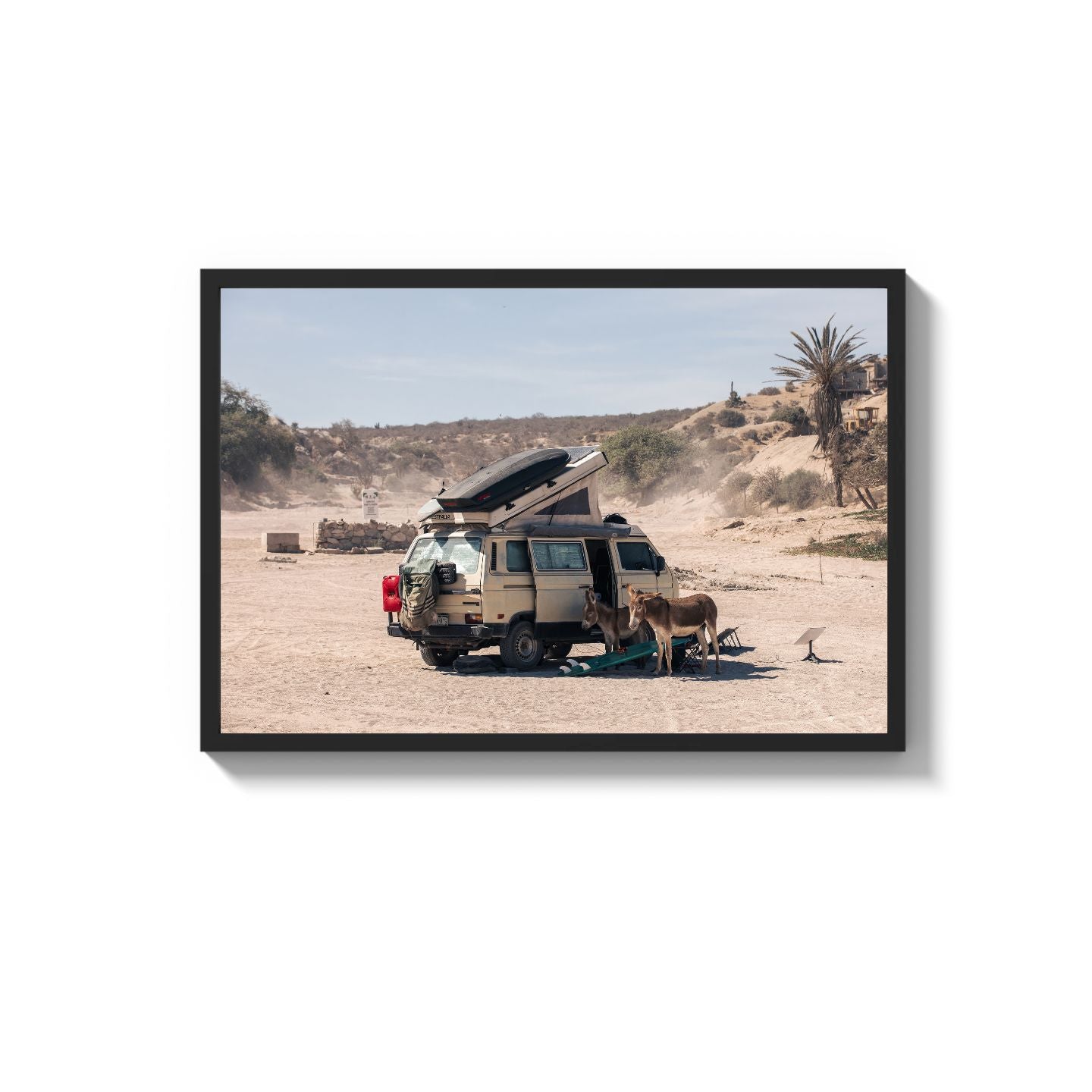 Settled Into The Dust