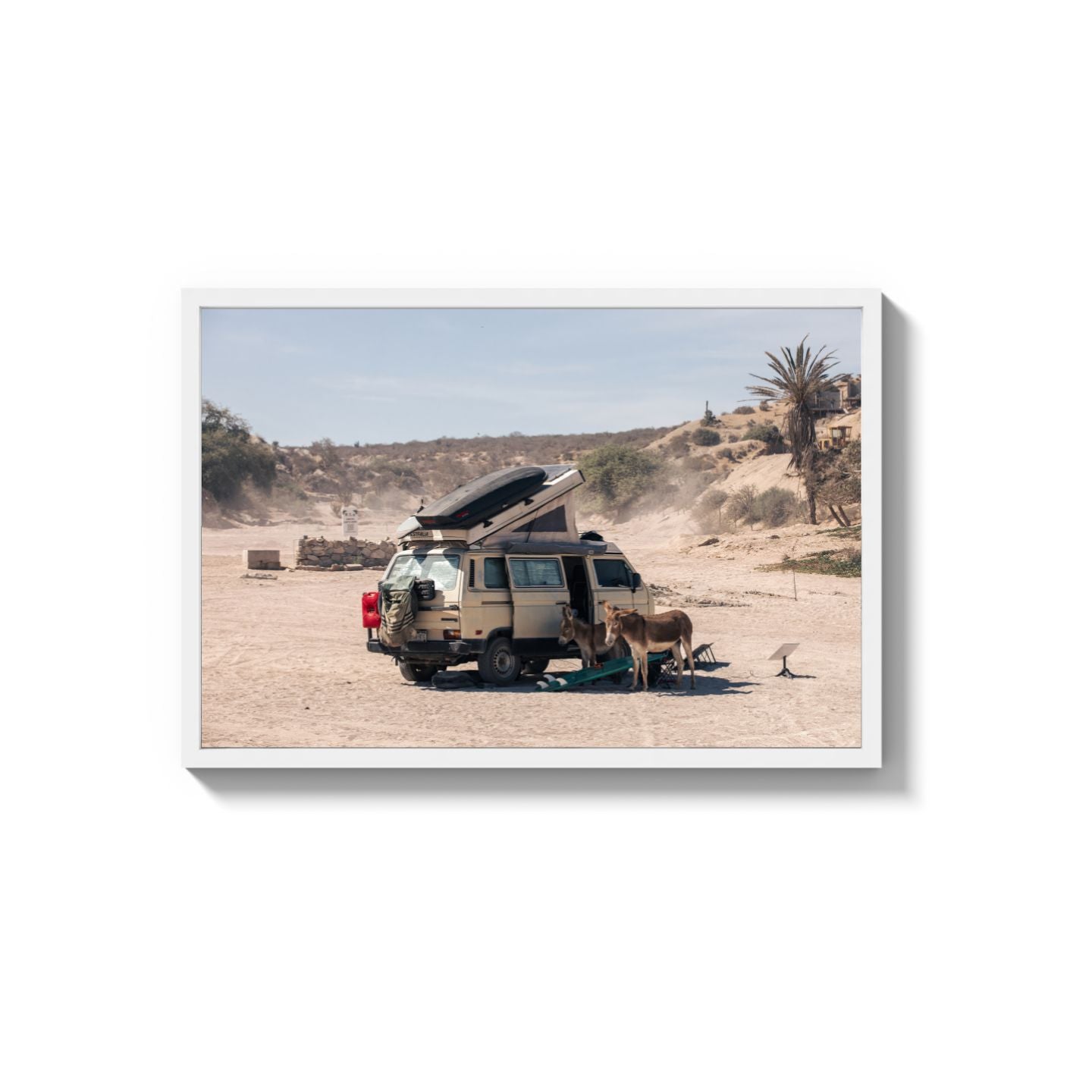 Settled Into The Dust