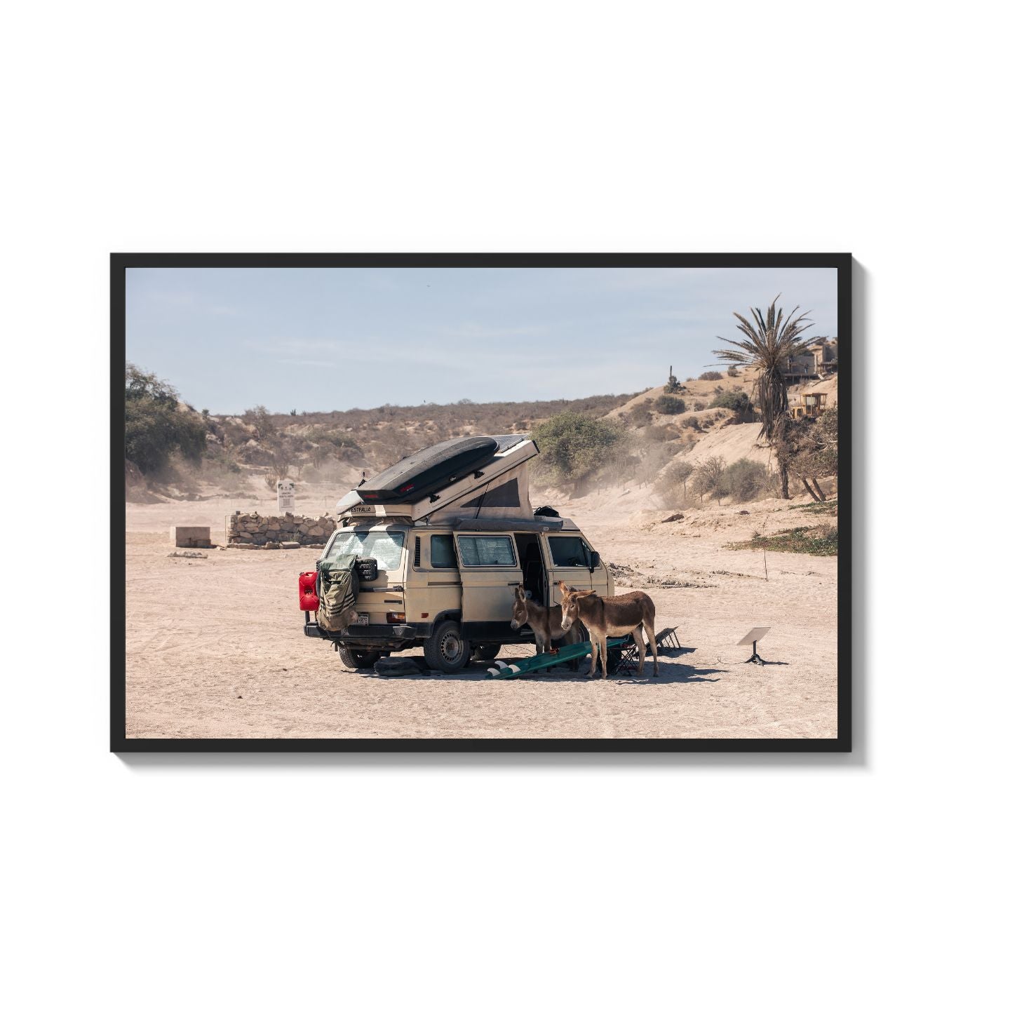 Settled Into The Dust