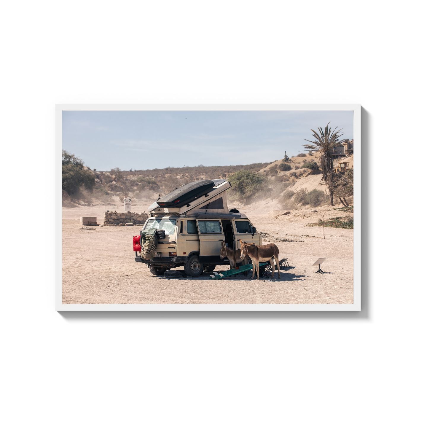 Settled Into The Dust