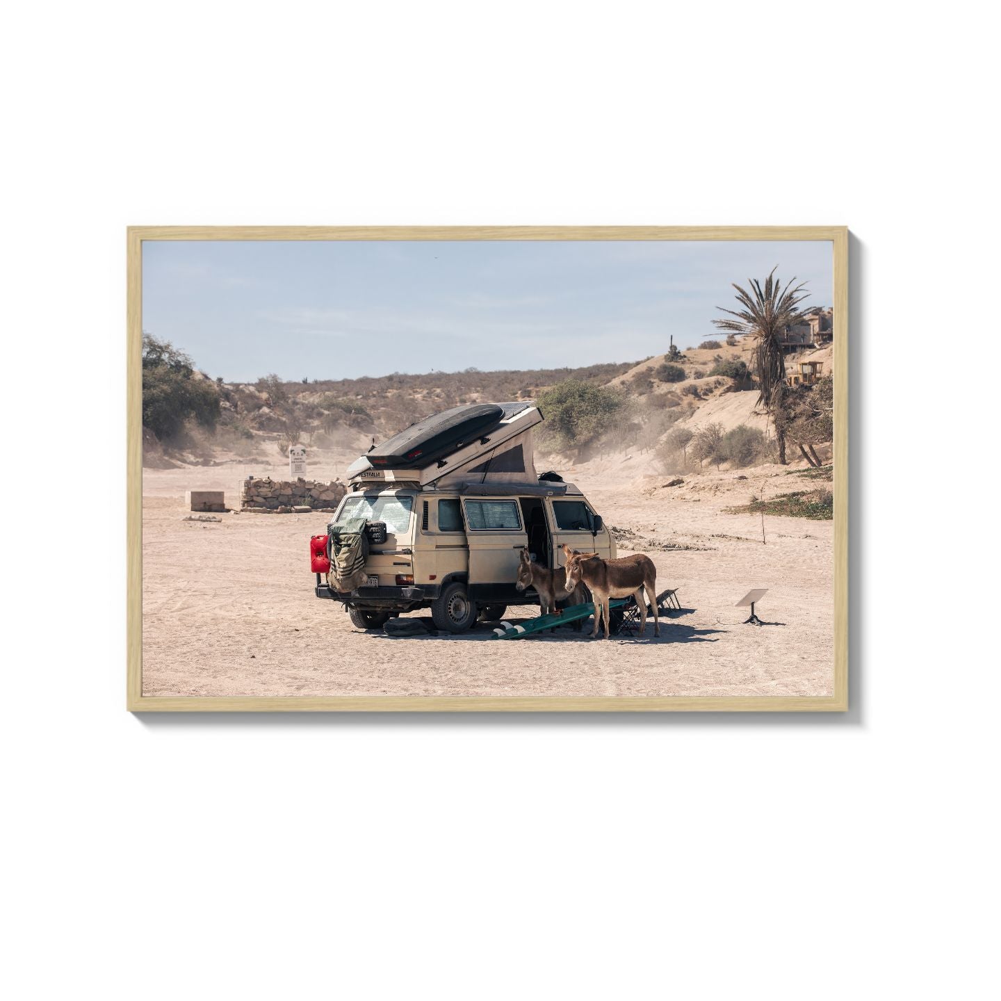 Settled Into The Dust