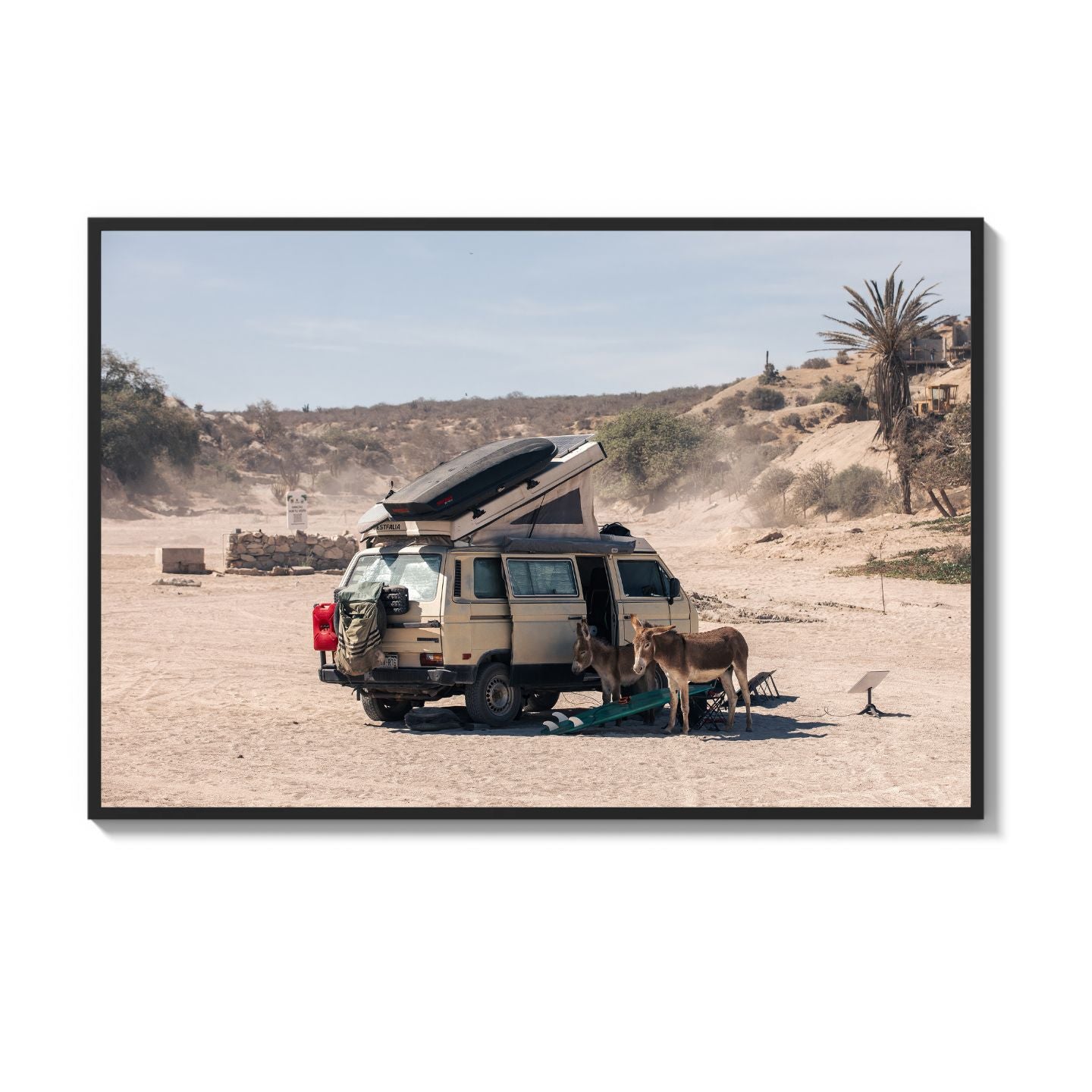 Settled Into The Dust