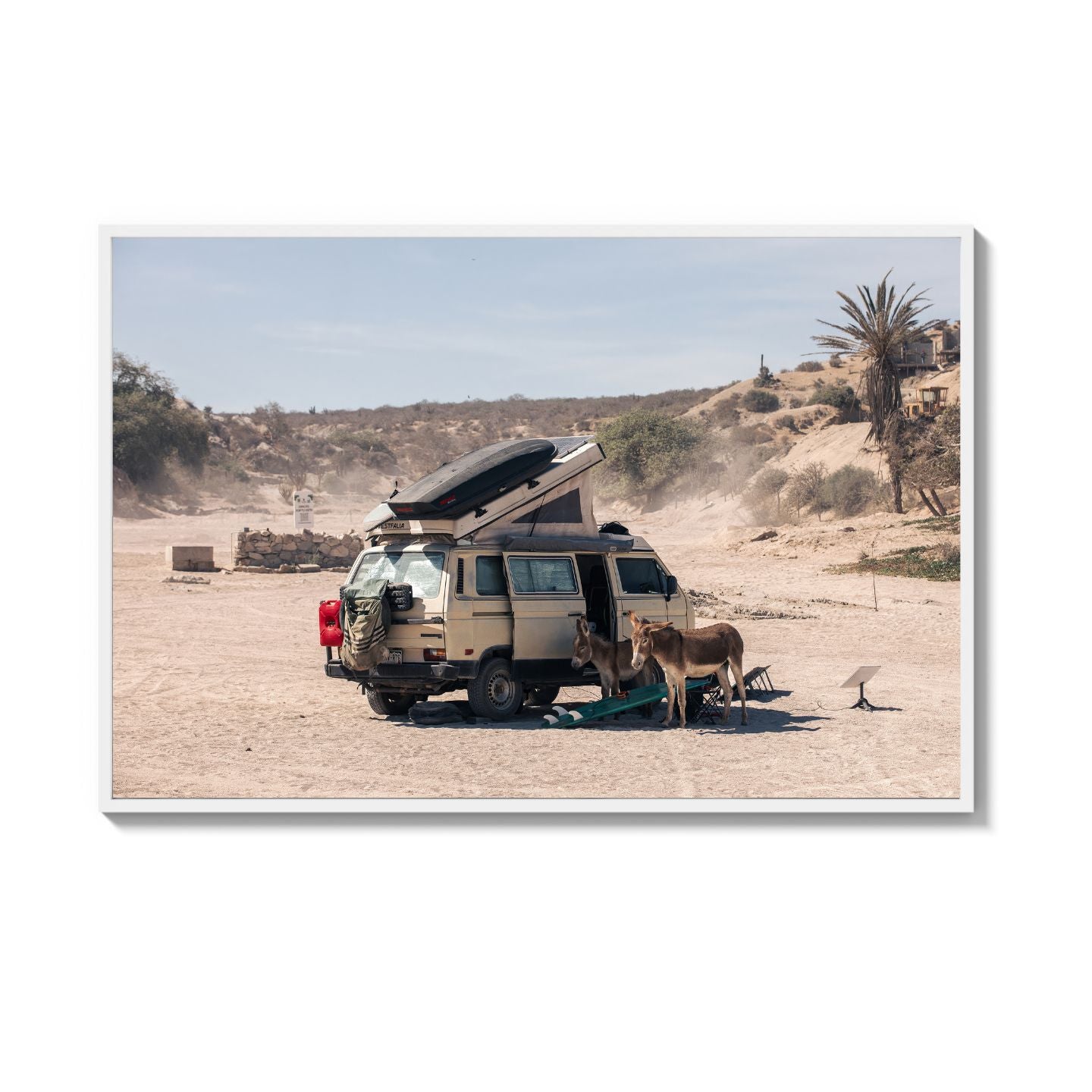 Settled Into The Dust