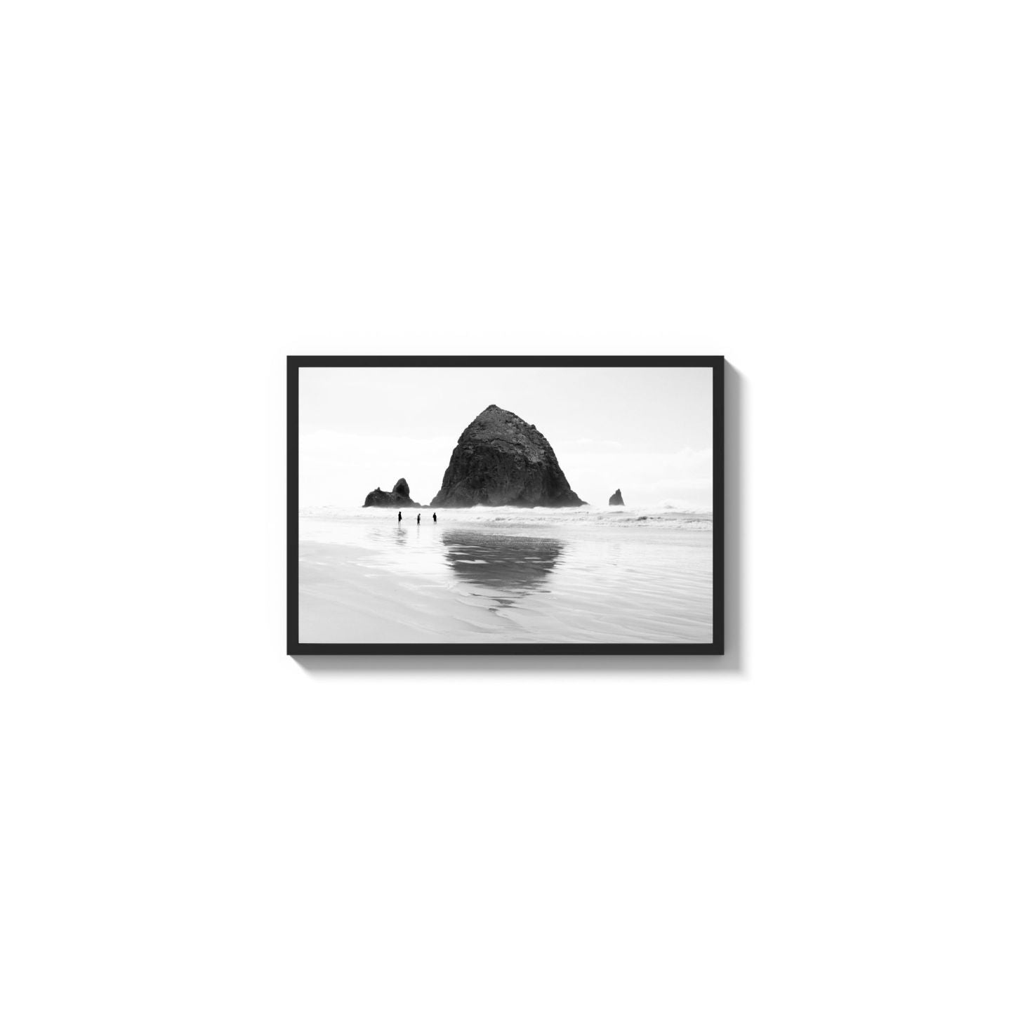 Mirror The Coast