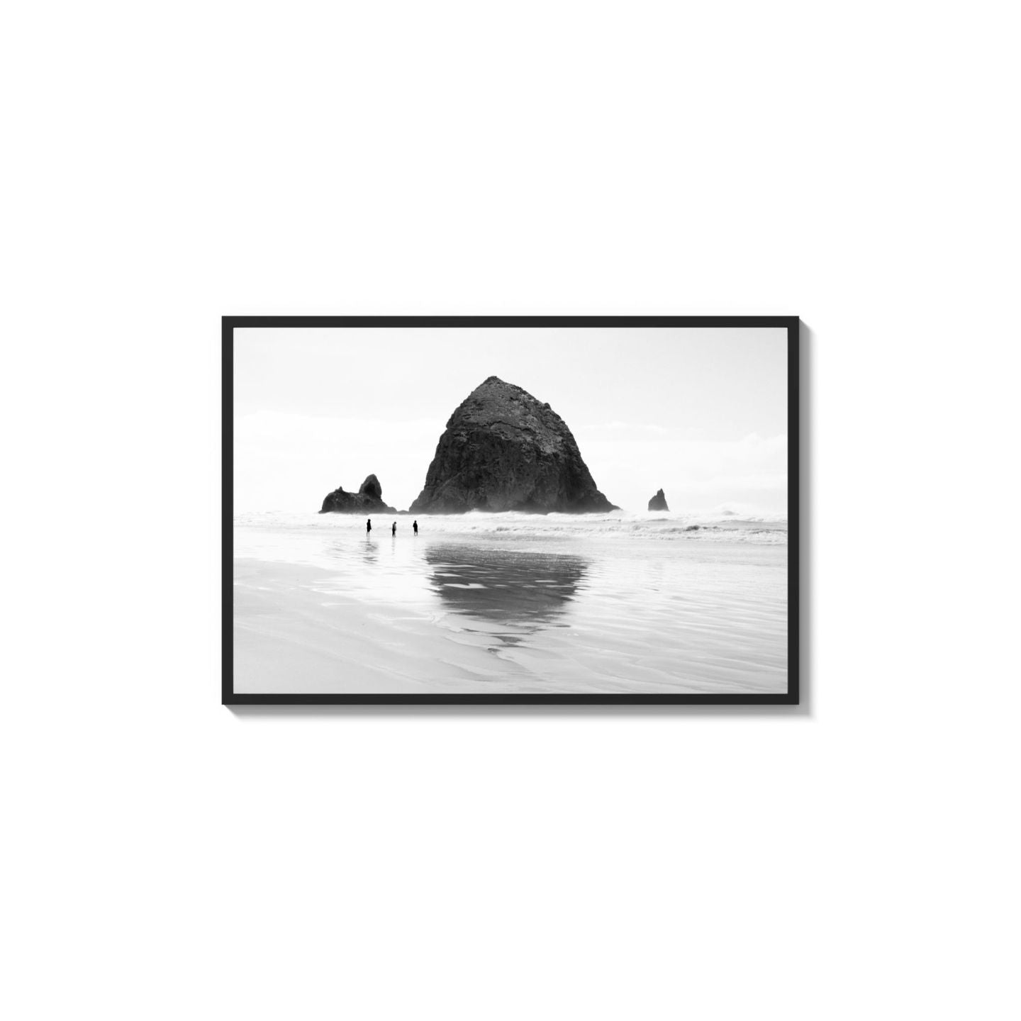 Mirror The Coast