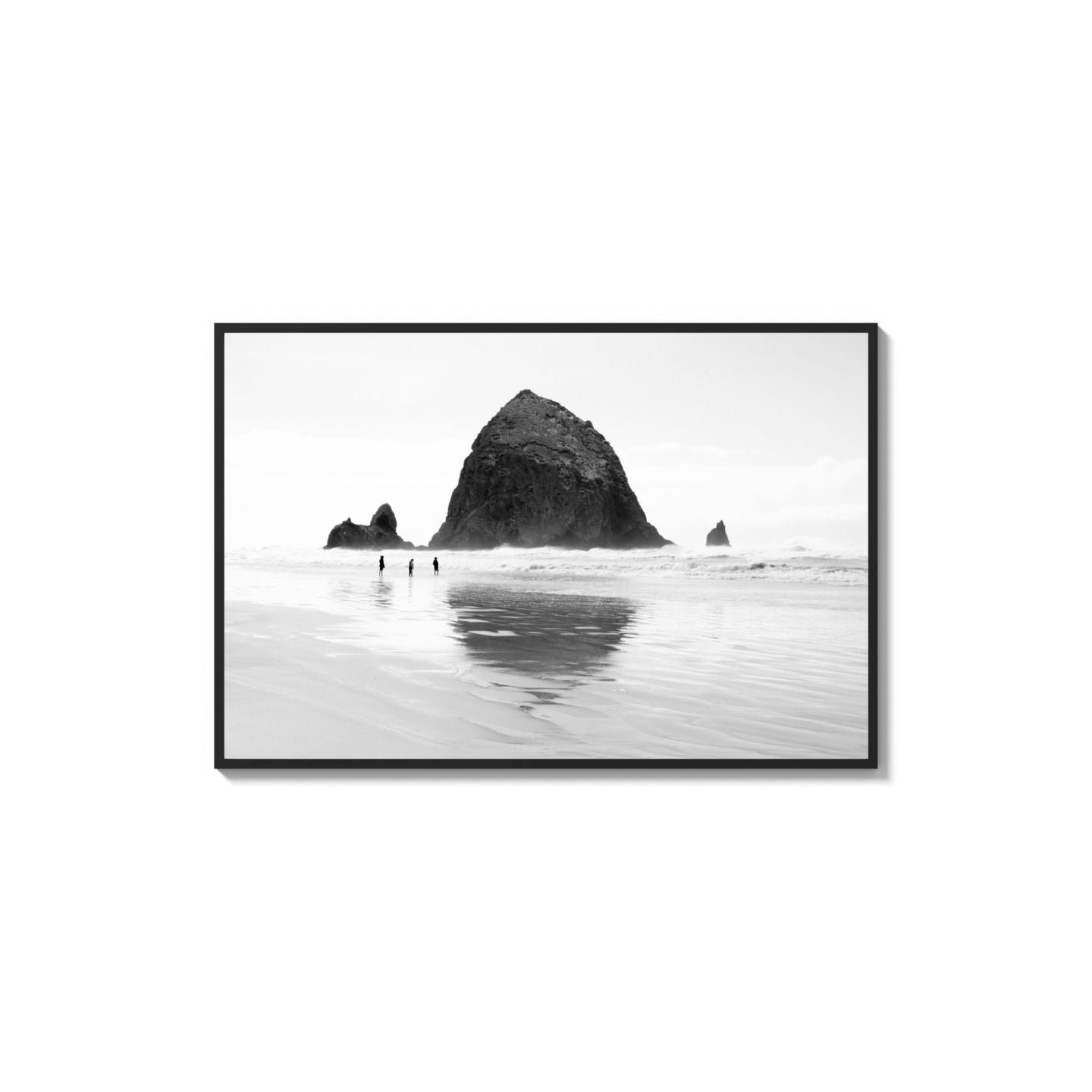 Mirror The Coast