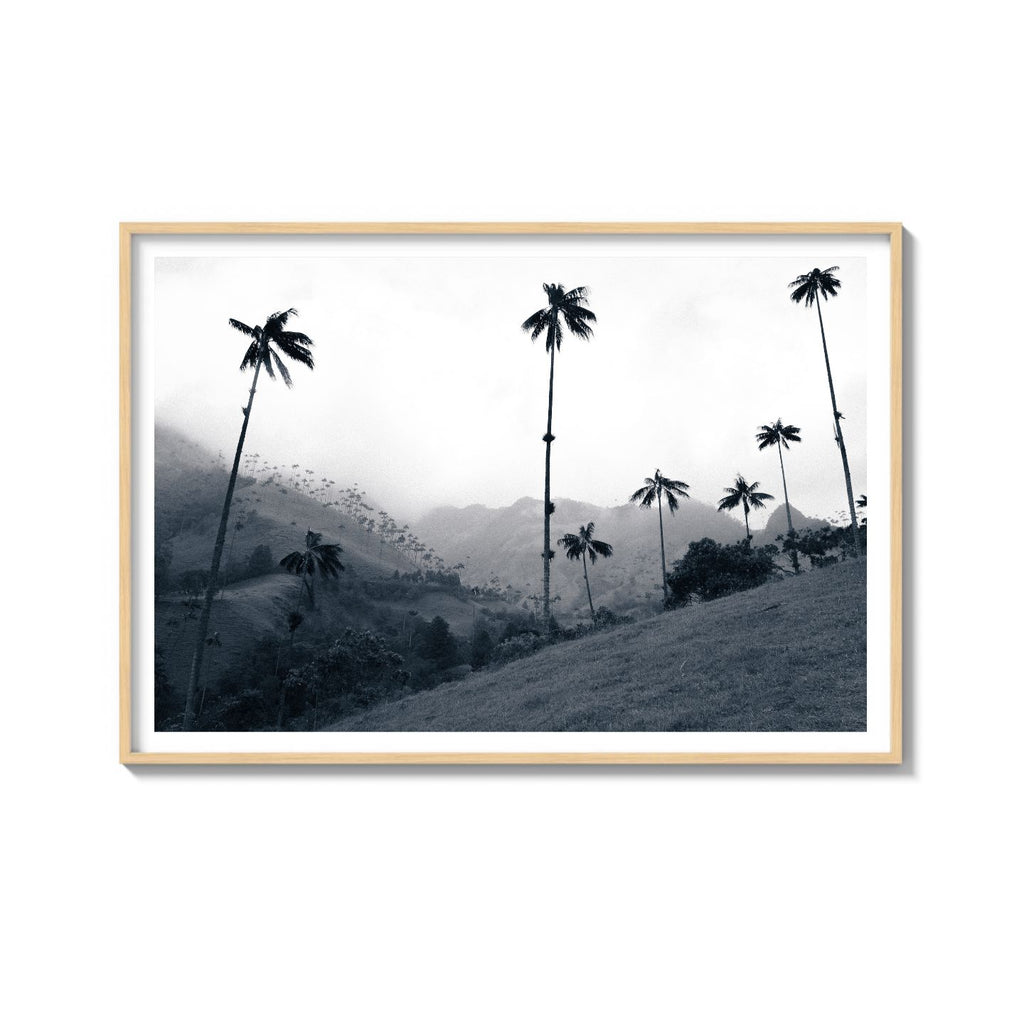 COCORA