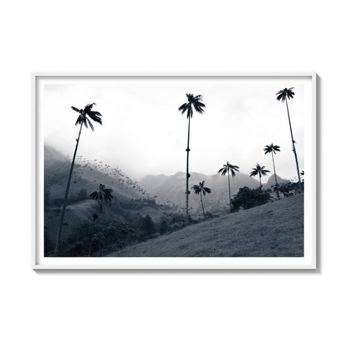 COCORA