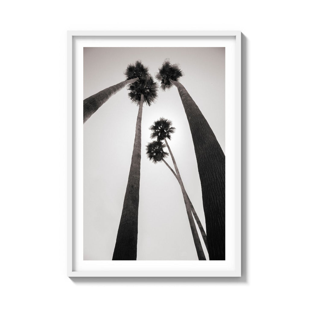 GIANTS