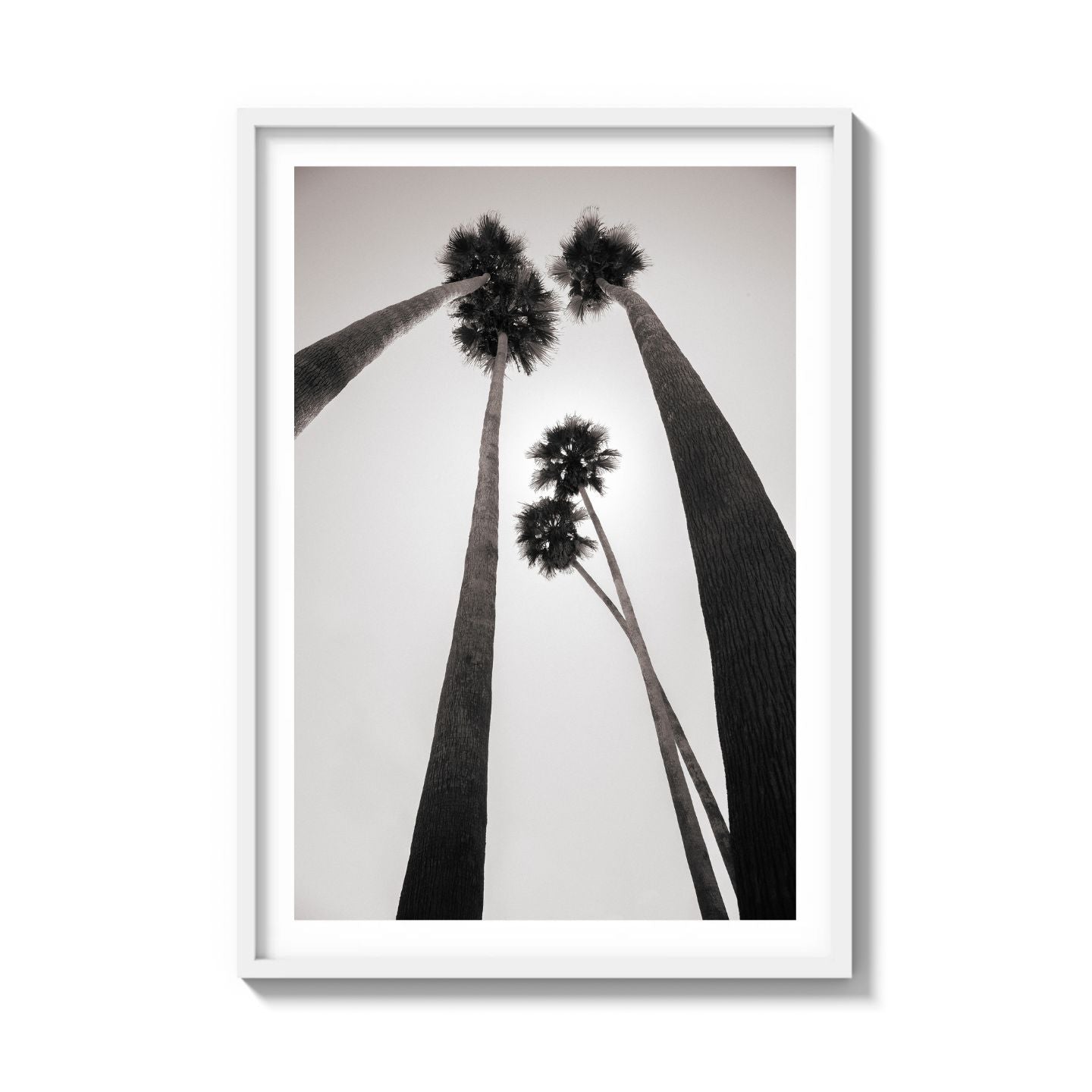GIANTS