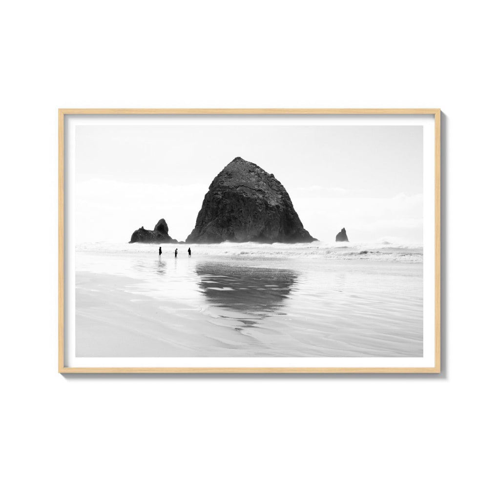 MIRROR THE COAST