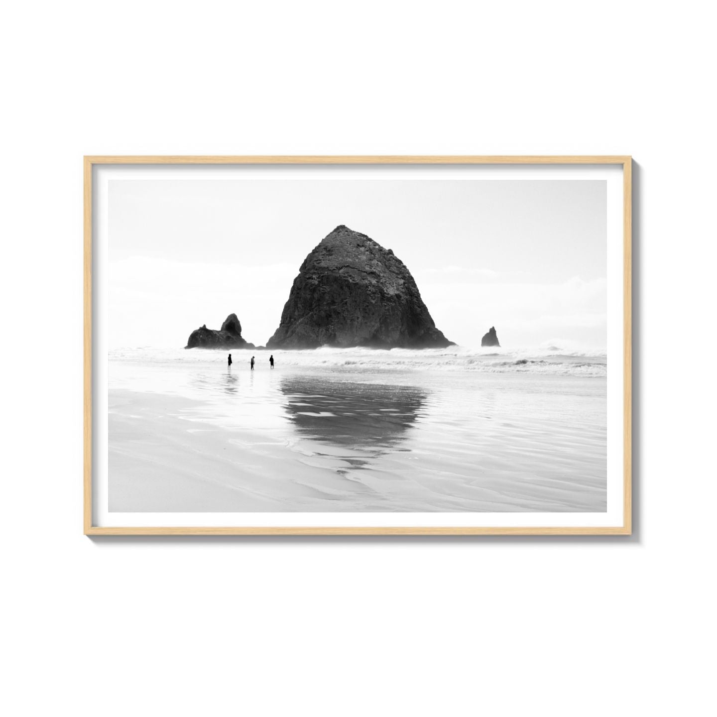 MIRROR THE COAST