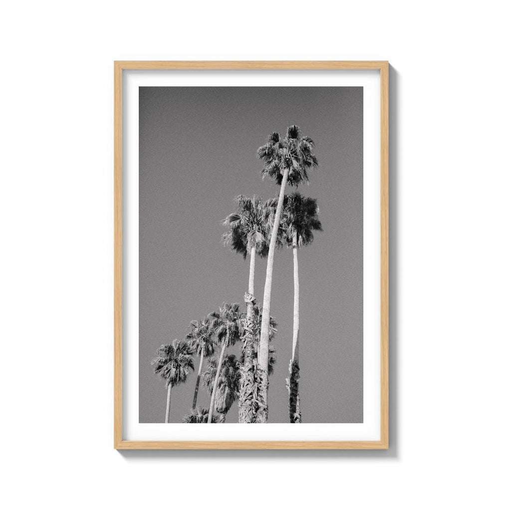CALI DRIVES