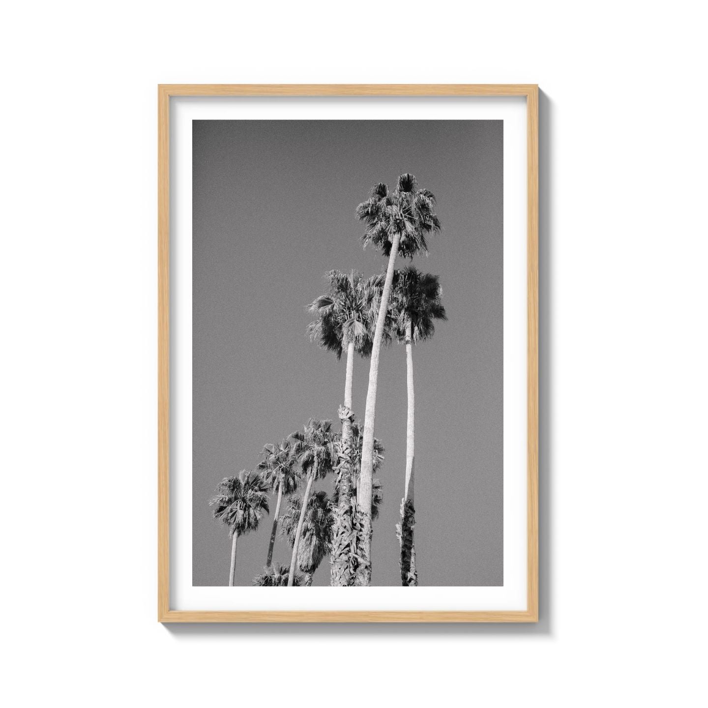 CALI DRIVES