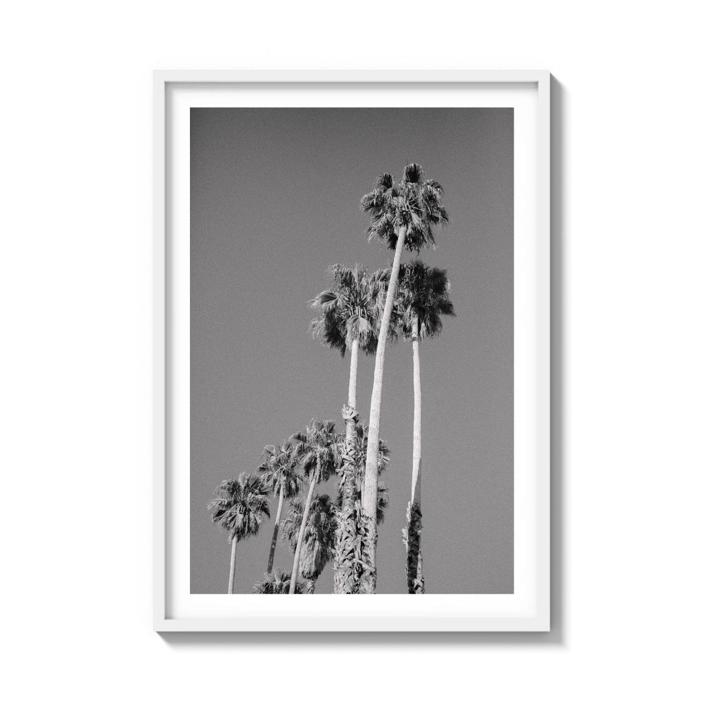 CALI DRIVES