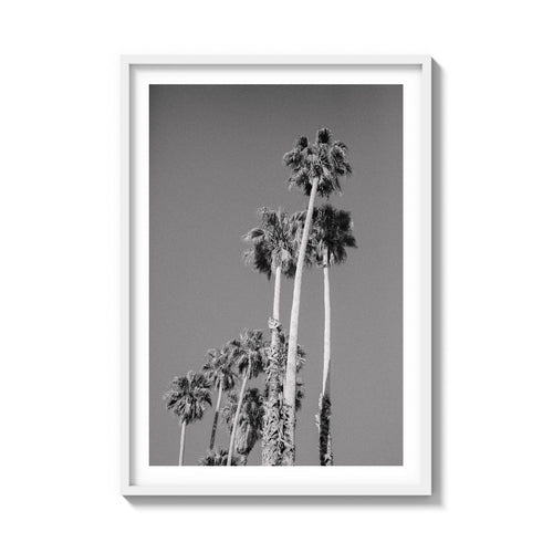 CALI DRIVES